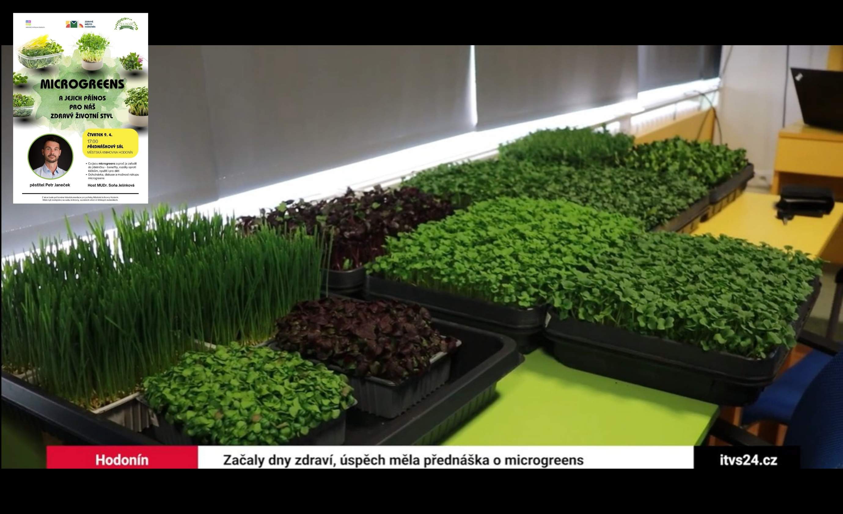 V Hodoníně začaly dny zdraví, které potrvají téměř do konce dubna. Nabídnou řadu akcí včetně přednášek. A hned jedna z prvních vzbudila velký zájem veřejnosti. Mluvilo se na ní o microgreens.